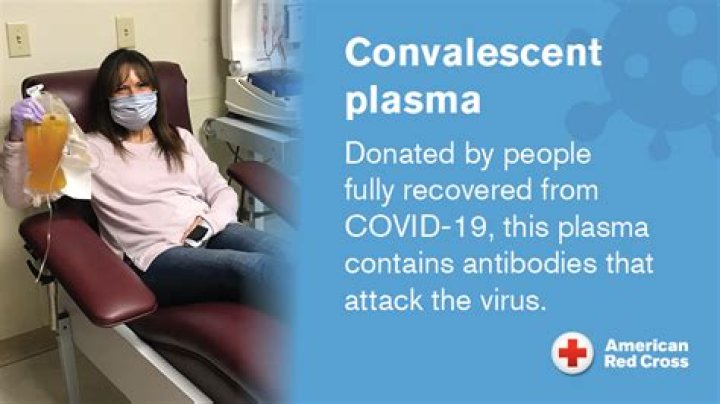 Andy Cohen Tried To Donate Plasma To Help The Fight Against COVID-19 — Turned Away Because He Is Gay!