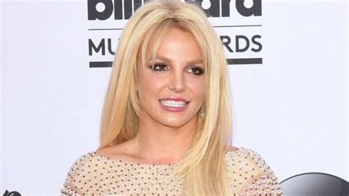 Britney Spears’ Mother Addresses The Claims That Her Team Deletes Positive Comments On Her Social Media!