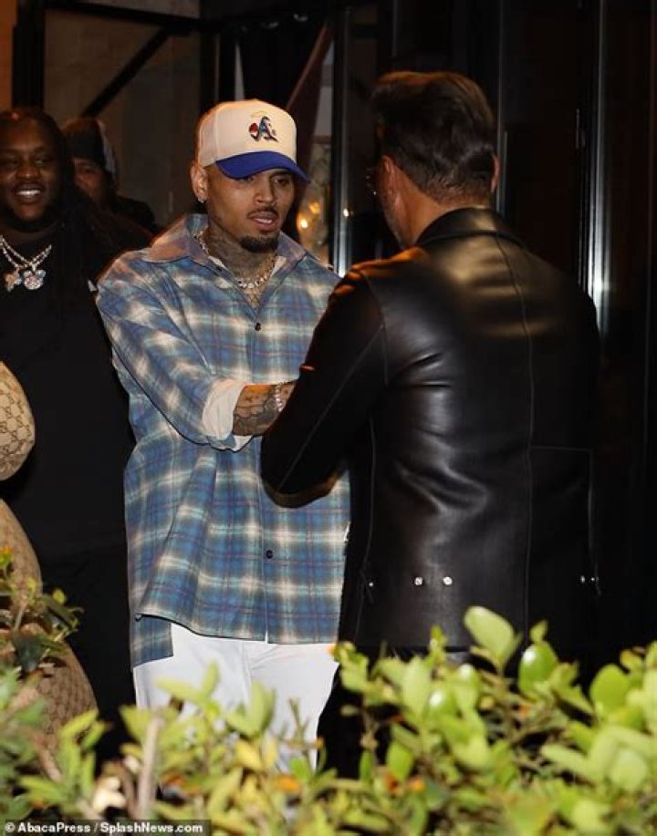 Chris Brown Gushes Over Ammika Harris With This New Photo