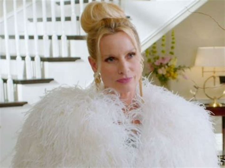 Dynasty Actress Nicollette Sheridan Slams RHOBH Star Lisa Rinna, Sets The Record Straight On Cheating Accusations