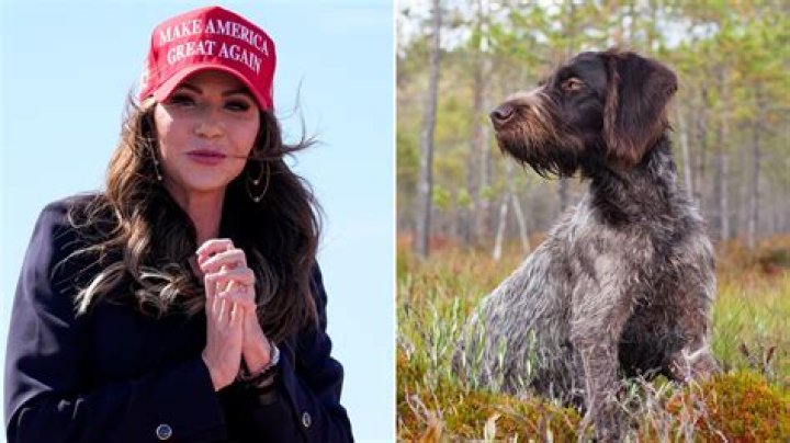Jenelle Evans Insists That She’s ‘Not Scared’ Of Husband David Eason Despite Shooting Her Dog
