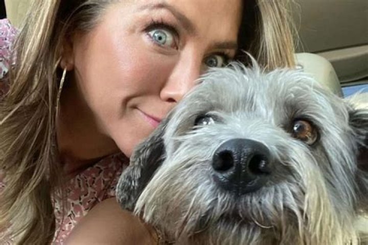 Jennifer Aniston Shares Sweet Pic With Dog Clyde