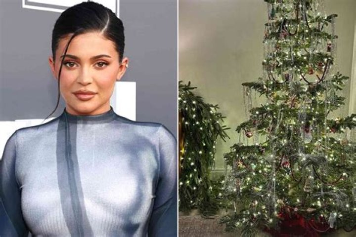 Kylie Jenner showed the decoration of a private jet for $72 million