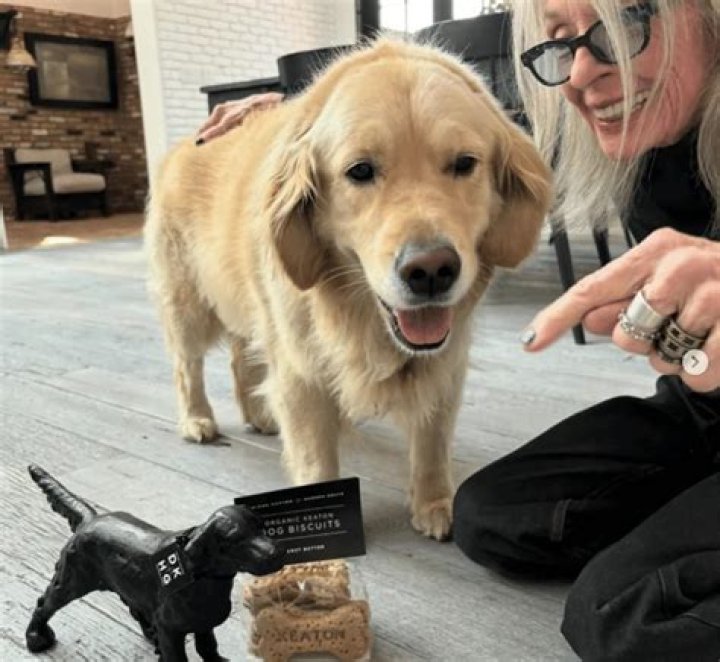 LeAnn Rimes Pays Tribute To Her Beloved Dog Eveie After Horrible Coyote Attack