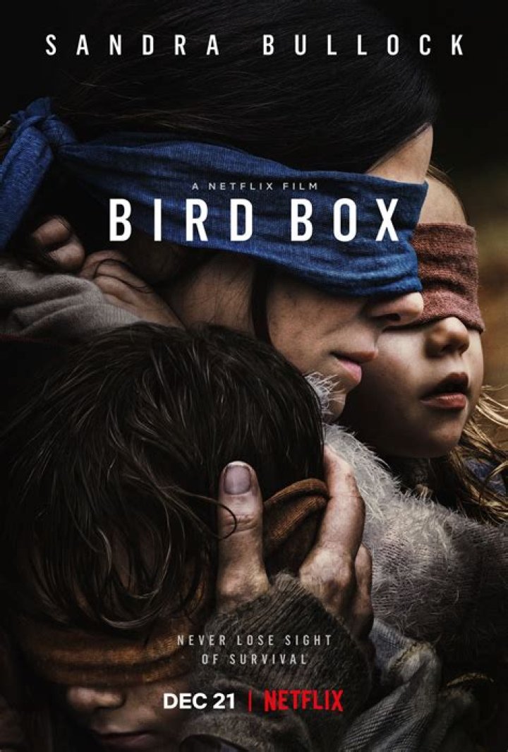 Netflix Issues Warning After Dangerous Challenge Inspired By The Movie Bird Box Becomes Viral!