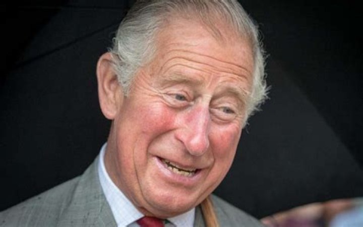 Prince Charles Called Prince Harry And Williams Following COVID-19 Diagnosis