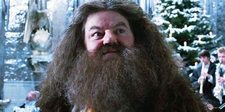 Robbie Coltrane Who Played Hagrid In The Harry Potter Movies Has Passed Away