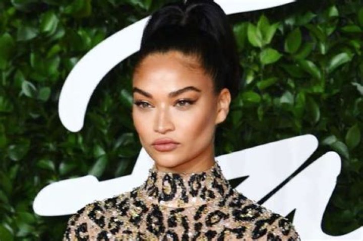 Shanina Shaik, A Victoria’s Secret Model, Keeps Fans Up At Night With Her Curves, But The Pictures Do Not Tell The Whole Story — She Still Wants More